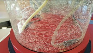 A large acrylic tube covered with crazing cracks