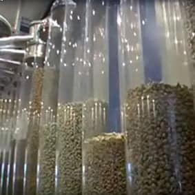 Coffee beans in clear tubing dispensers